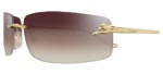 Cartier CT 0503