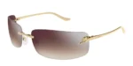 Cartier CT 0503