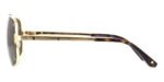 Cartier CT0194S