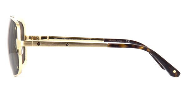 Cartier CT0194S