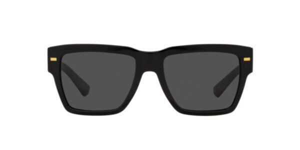 dolce-_-gabbana-dg-4431-501-87-6_1