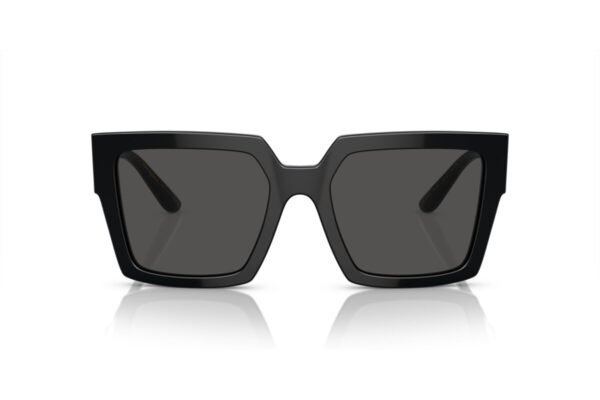 Dolce & Gabbana DG 4446B