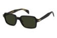 David Beckham DB1179/S