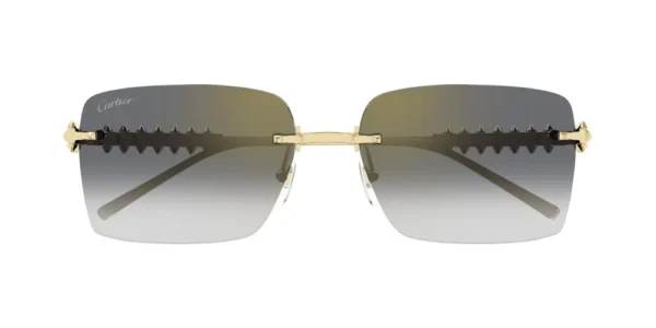 Cartier CT0545S