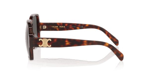 Celine Triomphe CL40316U